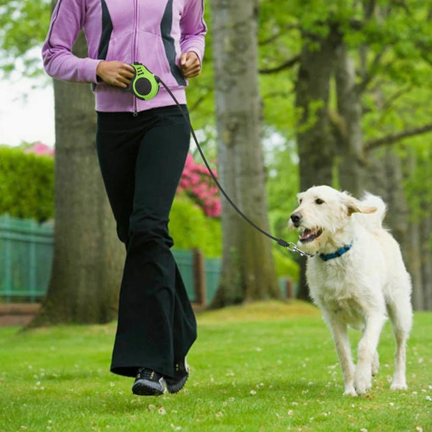 Dog Collars, Dogs, Harnesses & Leashes, Pets16.5FT Automatic Retractable Dog Leash Pet Collar Automatic Walking Lead Free US - Premium  from Nobles Store - Just $9.11! Shop now at Nobles Store