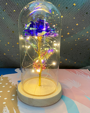 Gifts, Lamp, Night LightGalaxy Rose Eternal Lamp - Premium  from Nobles Store - Just $42.20! Shop now at Nobles Store