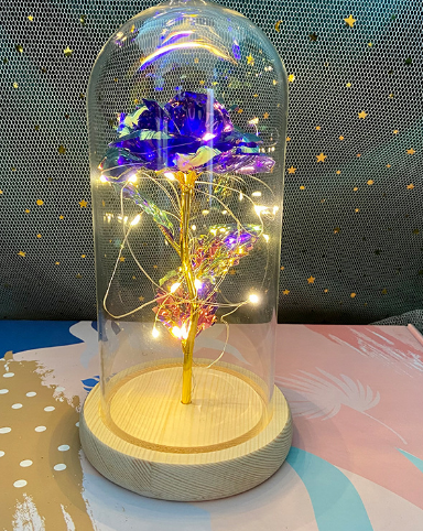 Gifts, Lamp, Night LightGalaxy Rose Eternal Lamp - Premium  from Nobles Store - Just $42.20! Shop now at Nobles Store