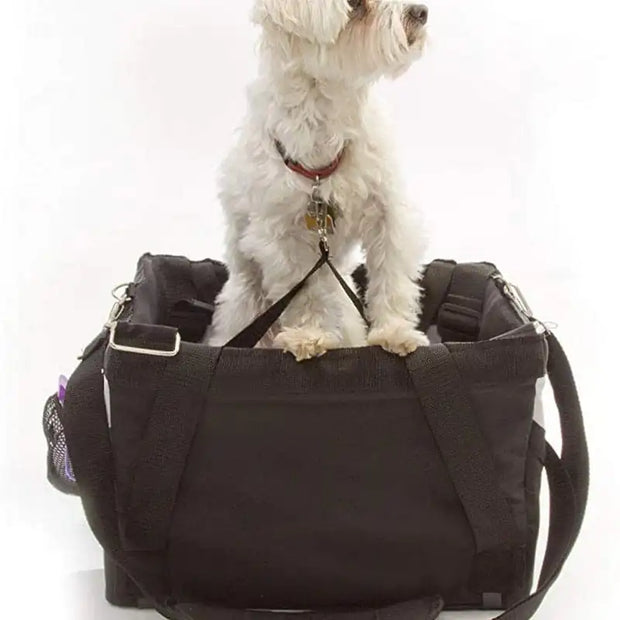 carrier, outdoor, pet supplyPuppy Dog Bicycle Basket Carrier - Premium  from Nobles Store - Just $75.20! Shop now at Nobles Store