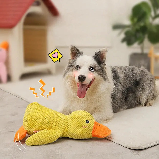 Calming Duck - Premium  from Nobles Store - Just $30.49! Shop now at Nobles Store